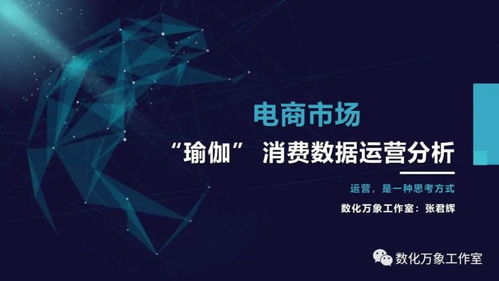 电商市场瑜伽产品消费数据与网络游戏研发运营的联动分析